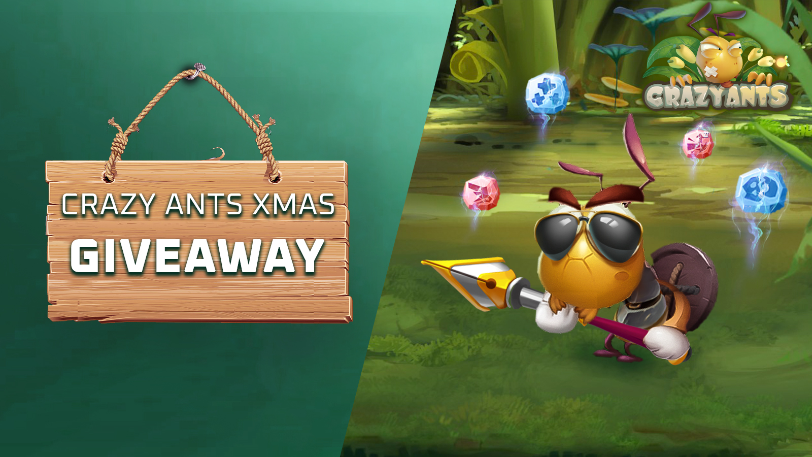 Crazy Ants $100 Xmas Giveaway